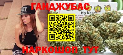ALPHA PVP Гай