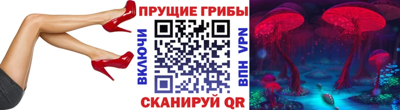 Галлюциногенные грибы Cubensis  Канаш 