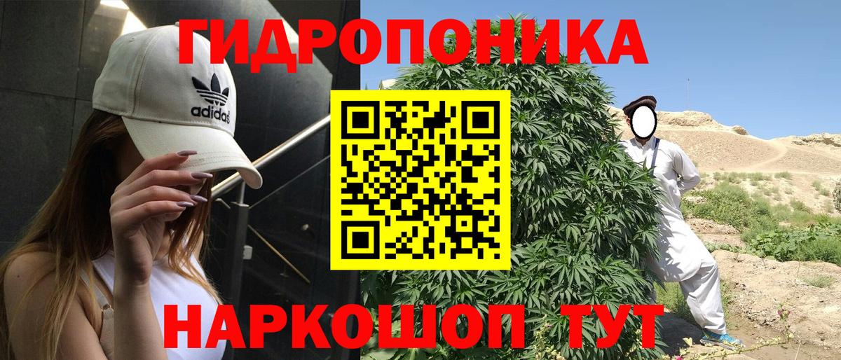 Конопля LSD WEED  Бошки марихуана семена  Шишки марихуана марихуана  Каннабис OG Kush  Канаш  Вход с VPN 